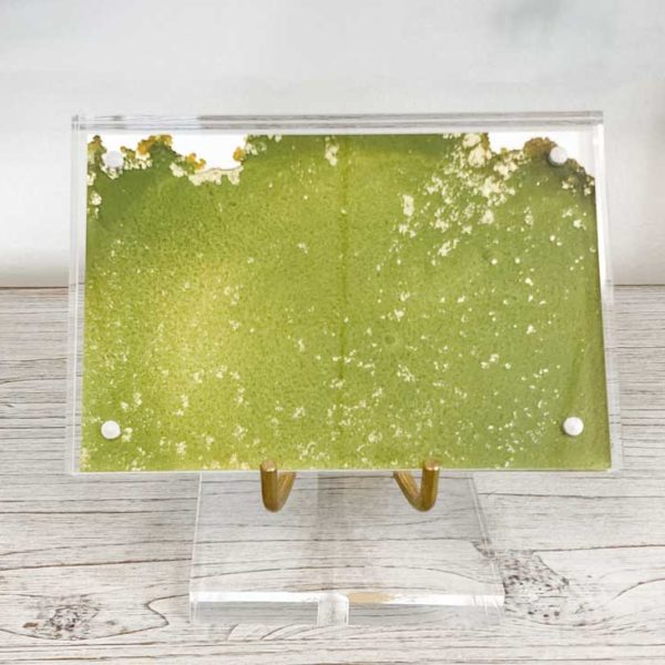 Jennifer Solt Fine Art